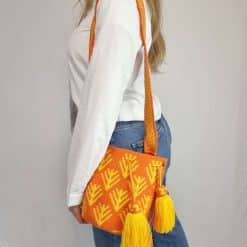 Alternative view of Caselle